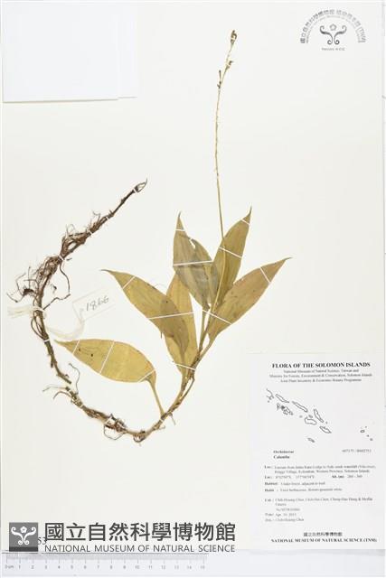 登錄號:BS02753藏品圖，第1張