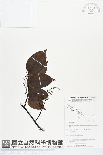 登錄號:BS03753藏品圖，第1張