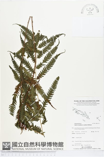 登錄號:BP01553藏品圖，第1張