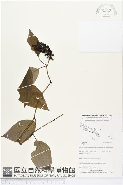 登錄號:BS04553藏品圖，第1張