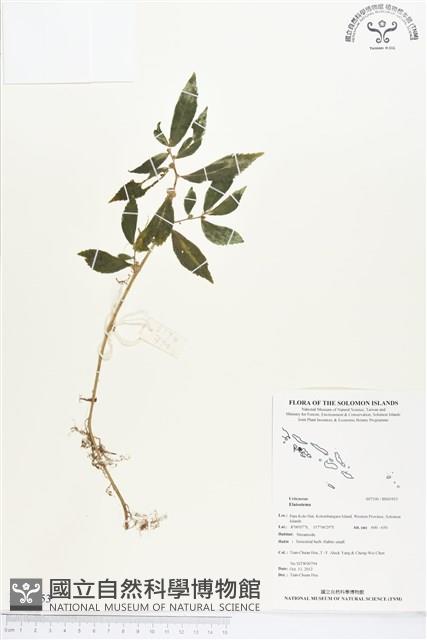 登錄號:BS01953藏品圖，第1張