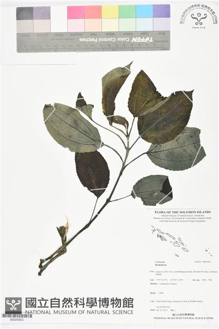 登錄號:BS05953藏品圖，第1張