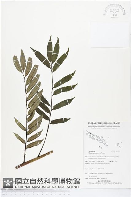 登錄號:BP02353藏品圖，第1張