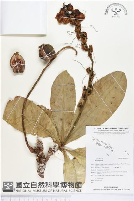 登錄號:BS02353藏品圖，第1張