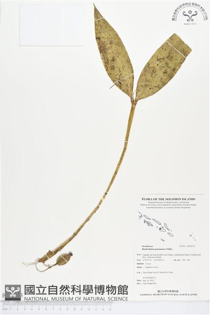 登錄號:BS01353藏品圖，第1張