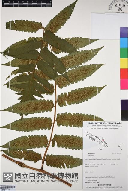 登錄號:BP03353藏品圖，第1張