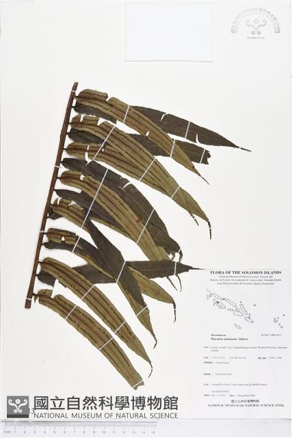 登錄號:BP01813藏品圖，第1張