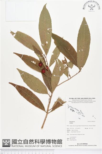 登錄號:BS01813藏品圖，第1張