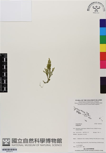 登錄號:BP03013藏品圖，第1張