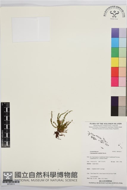 登錄號:BP03613藏品圖，第1張