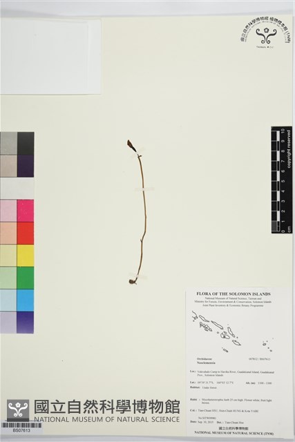 登錄號:BS07613藏品圖，第1張