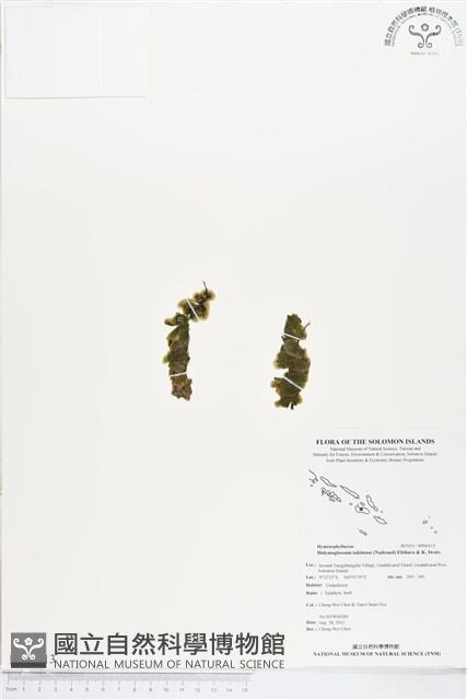 登錄號:BP00113藏品圖，第1張