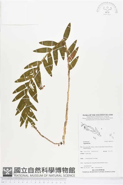 登錄號:BS04113藏品圖，第1張