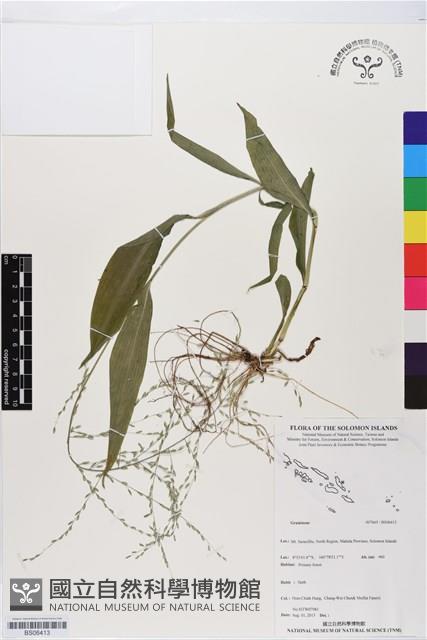 登錄號:BS06413藏品圖，第1張