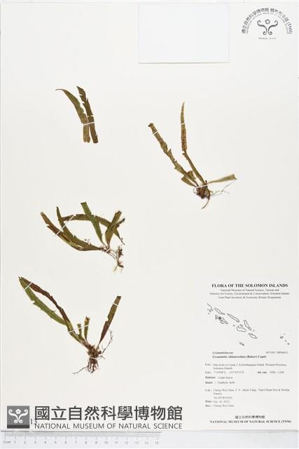 登錄號:BP00413藏品圖，第1張