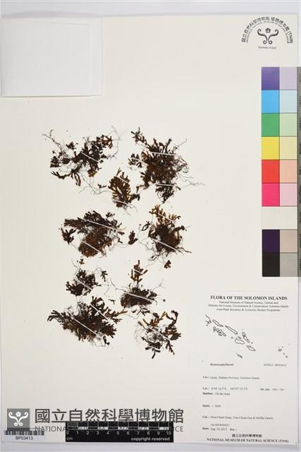 登錄號:BP03413藏品圖，第1張