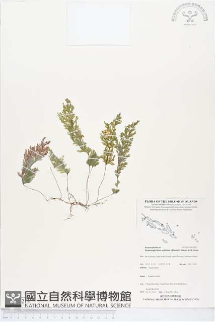 登錄號:BP02213藏品圖，第1張