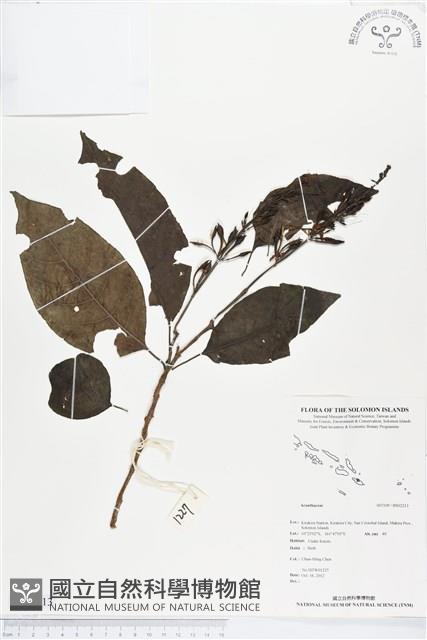 登錄號:BS02213藏品圖，第1張