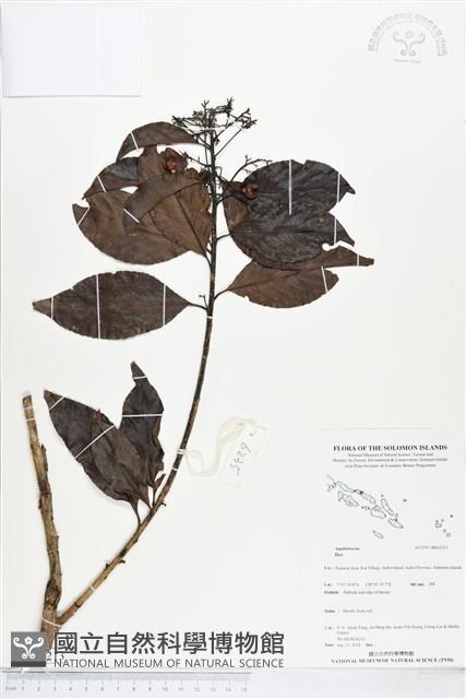 登錄號:BS05213藏品圖，第1張