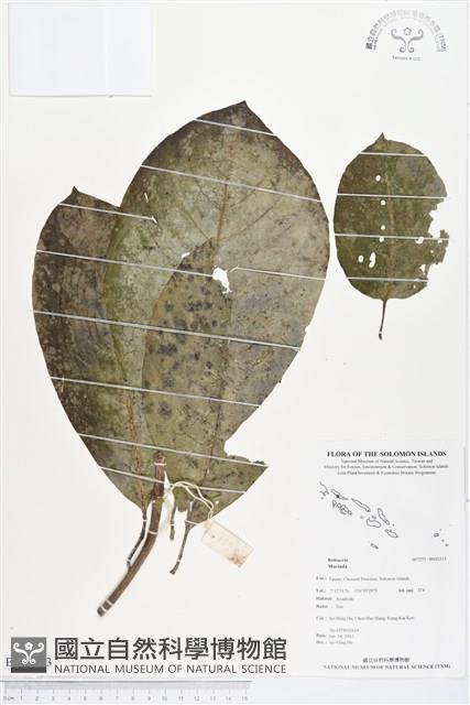 登錄號:BS03213藏品圖，第1張