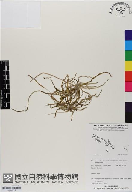 登錄號:BS06713藏品圖，第1張