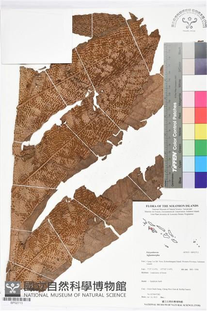 登錄號:BP02713藏品圖，第1張