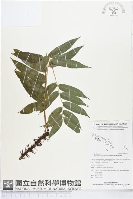 登錄號:BP00713藏品圖，第1張