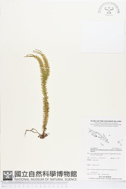 登錄號:BP01713藏品圖，第1張