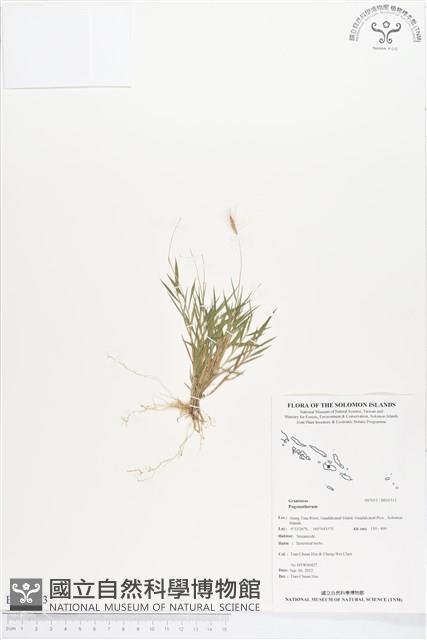 登錄號:BS01513藏品圖，第1張