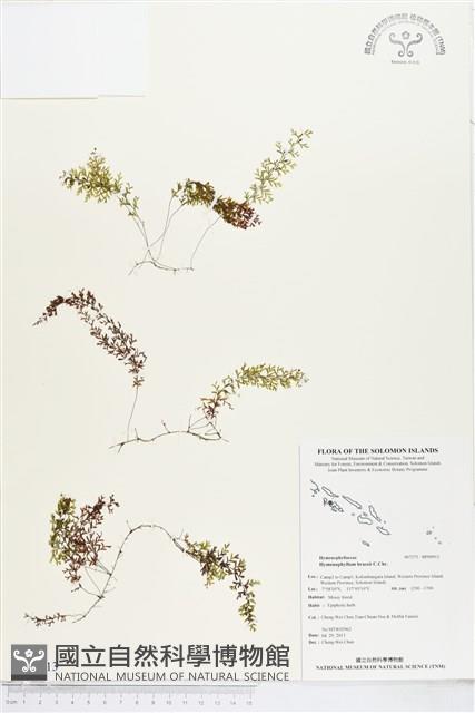 登錄號:BP00913藏品圖，第1張