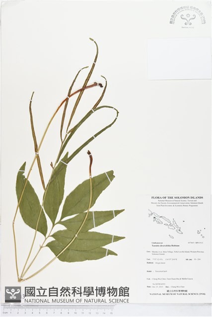 登錄號:BP01913藏品圖，第1張