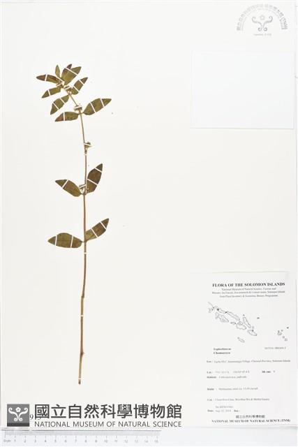 登錄號:BS04913藏品圖，第1張