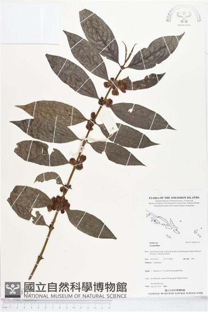 登錄號:BS05313藏品圖，第1張