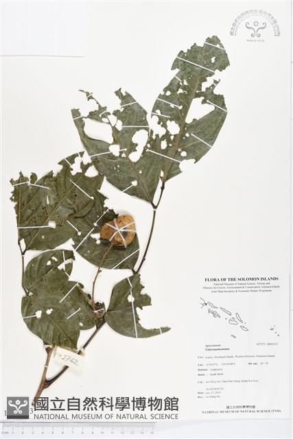 登錄號:BS03313藏品圖，第1張