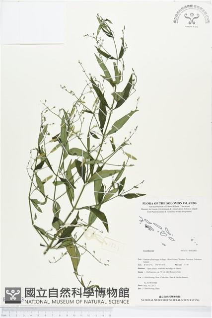 登錄號:BS02803藏品圖，第1張