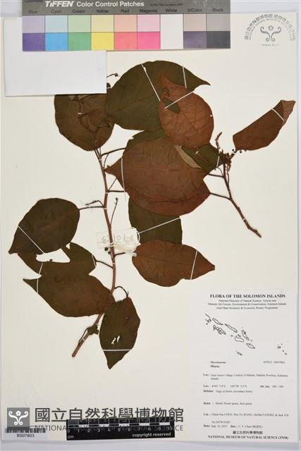 登錄號:BS07803藏品圖，第1張