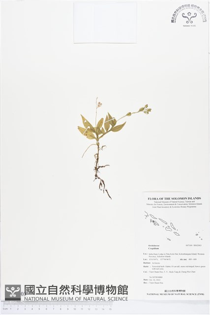 登錄號:BS02003藏品圖，第1張