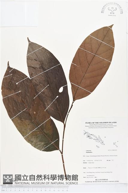 登錄號:BS05003藏品圖，第1張