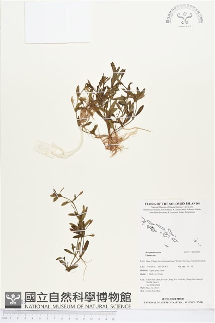 登錄號:BS03003藏品圖，第1張