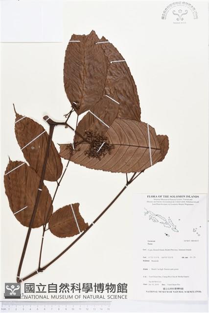 登錄號:BS04603藏品圖，第1張