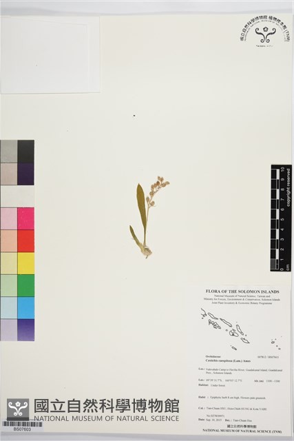 登錄號:BS07603藏品圖，第1張