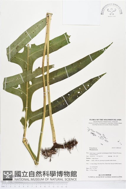 登錄號:BP01103藏品圖，第1張