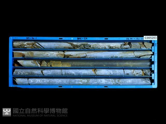 登錄號:C005203藏品圖，第1張