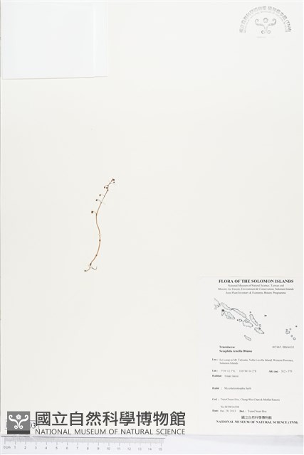 登錄號:BS04103藏品圖，第1張