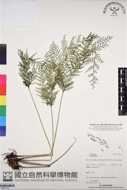 登錄號:BP03103藏品圖，第1張