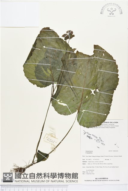 登錄號:BS03103藏品圖，第1張