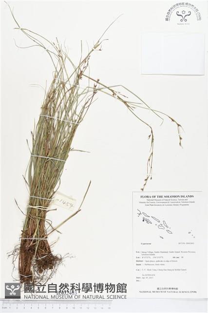 登錄號:BS02403藏品圖，第1張