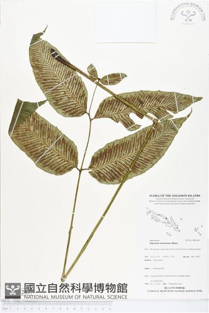 Accession Number:BP02203 Collection Image