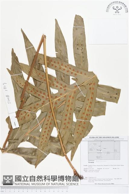 登錄號:BP00203藏品圖，第1張