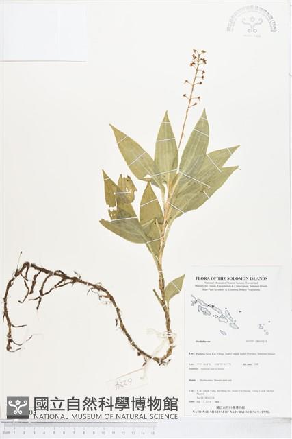 登錄號:BS05203藏品圖，第1張